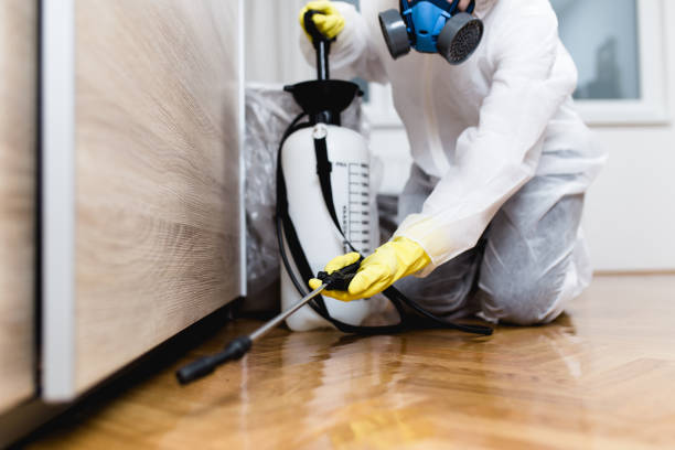 Professional Pest Control in Perryville, AR