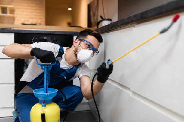 Best Best Pest Control Companies  in Perryville, AR