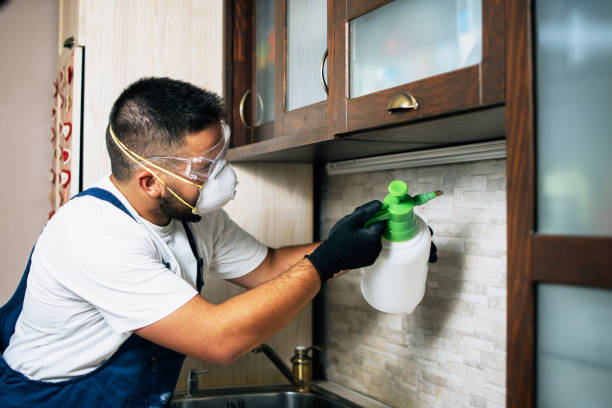Best Rat Extermination Near Me  in Perryville, AR