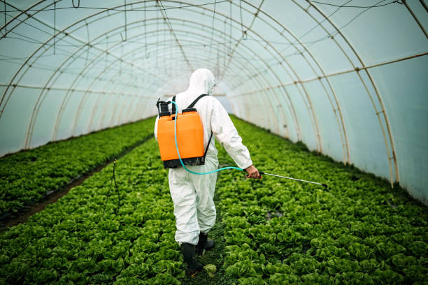 Best Pest Prevention Services  in Perryville, AR