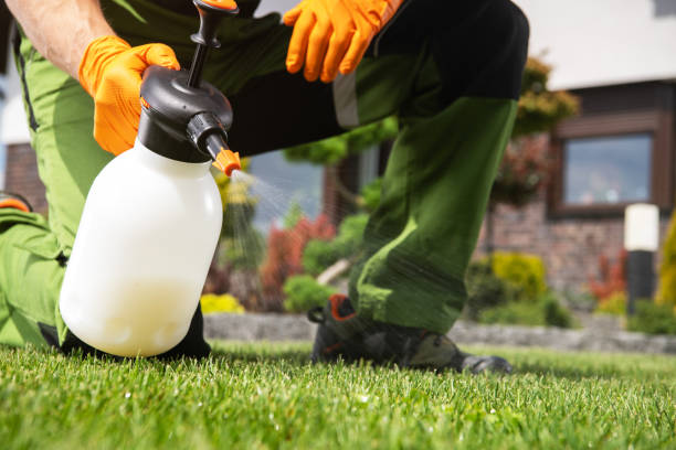 Best Emergency Pest Control  in Perryville, AR