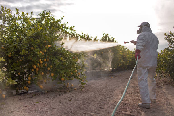 Best Best Pest Control Companies  in Perryville, AR
