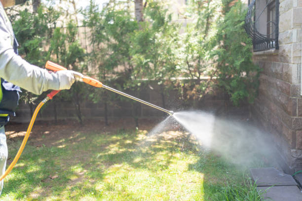 Best Local Pest Control Services  in Perryville, AR