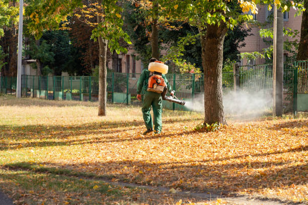 Best Pest Control Near Me  in Perryville, AR