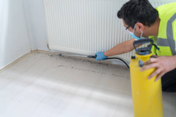 Best Wasp Removal Services  in Perryville, AR