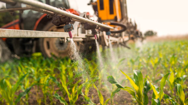 Best Pest Control for Homes  in Perryville, AR